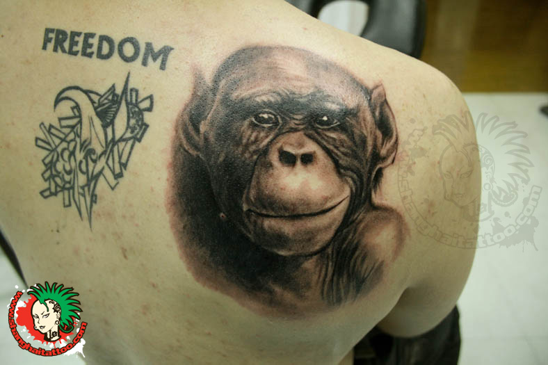 Grey Ink Chimpanzee Tattoo On Right Back Shoulder