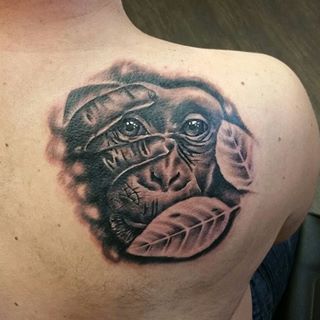 Grey Leaves And Chimpanzee Tattoo On Right Back Shoulder