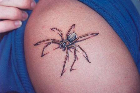 Left Shoulder Arachnid Tattoo