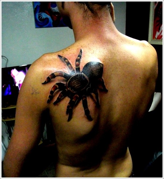 Man Left Back Shoulder Arachnid Tattoo Idea