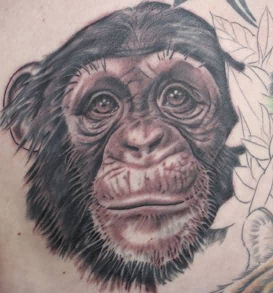 Nice Chimpanzee Face Tattoo