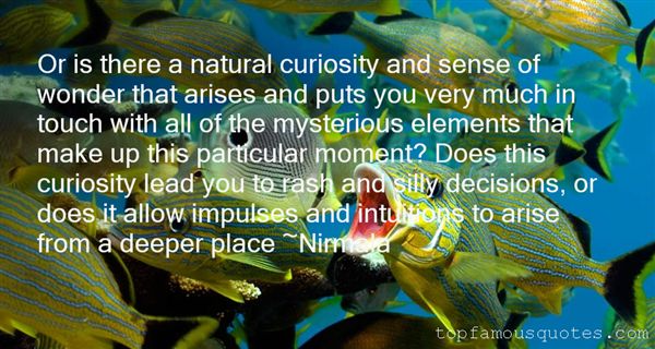 Or is there a natural curiosity and sense of wonder that arises and puts you very much in touch with all of the mysterious elements that make up this particular moment? Does this curiosity lead you to rash and silly decisions, or does it allow impulses and intuitions to arise from a deeper place -  Nirmala