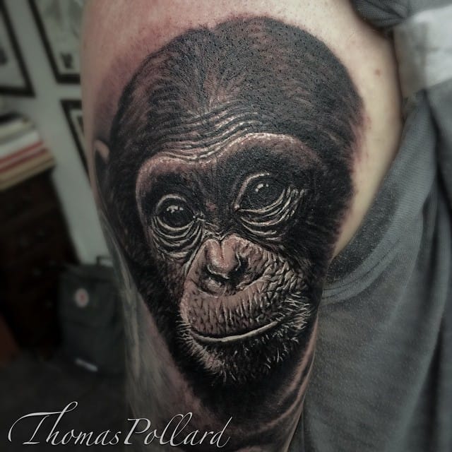 Realistic Chimpanzee Head Tattoo by Thomas Pollard
