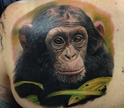 Realistic Chimpanzee Tattoo On Left Back Shoulder
