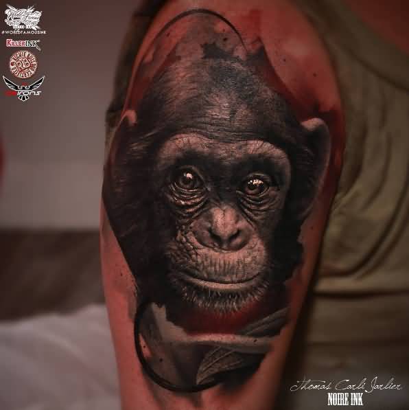 Realistic Chimpanzee Tattoo On Right Bicep