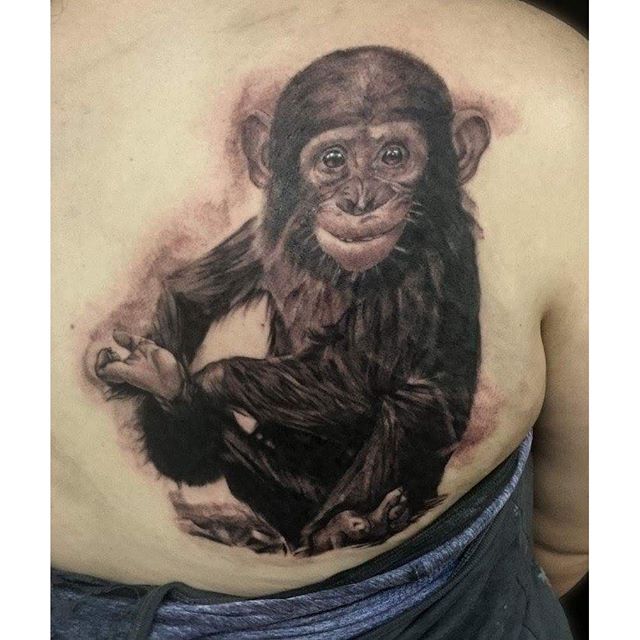 Right Back Shoulder Chimpanzee Tattoo For Girls