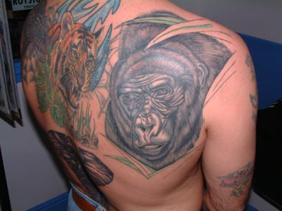 Right Back Shoulder Chimpanzee Head Tattoo For Men