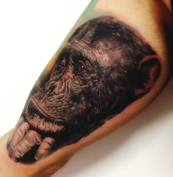 Sad Chimpanzee Face Tattoo by Alex de Pase