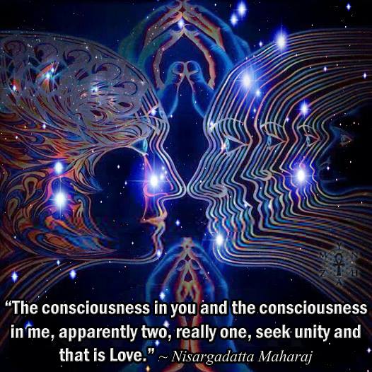 The consciousness in you and the consciousness in me, apparently two, really one, seek unity and that is Love. -  Nisargadatta Maharaj