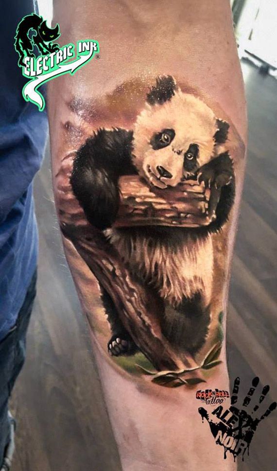Amazing Fluffy Panda With Cut Woods Tattoo On Forearm