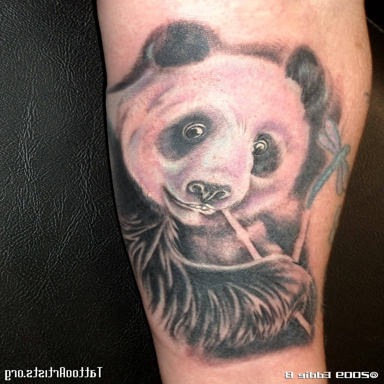 Amazing Panda And Dragonfly Tattoo