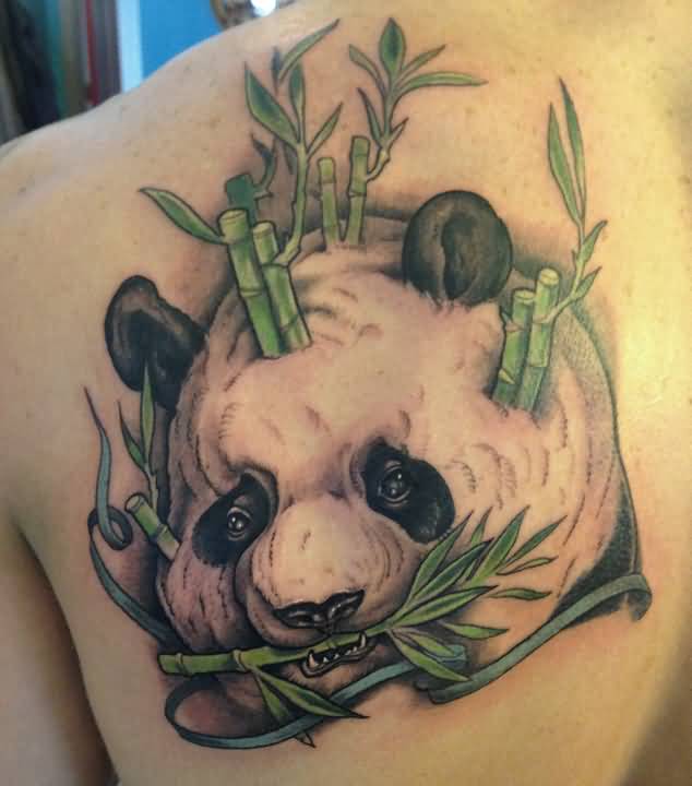 Amazing Panda Face With Bamboos Tattoo On Left Side Upper Back