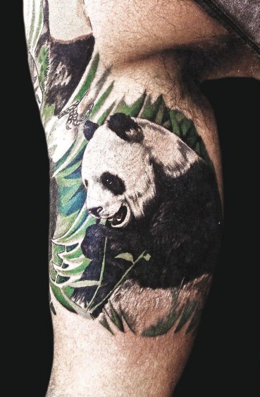 Beautiful Panda Eating Leaves Tattoo On Half Sleeve