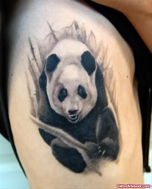 Black And White Panda With Bamboos Tattoo By Victor Modafferi