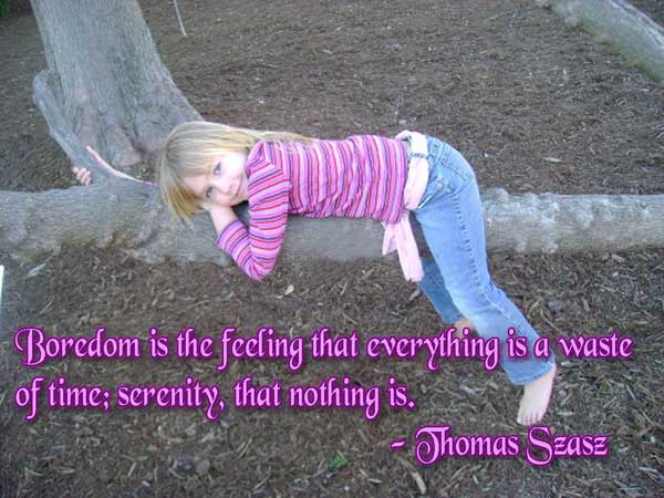Boredom is the feeling that everything is a waste of time; serenity, that nothing is. - Thomas Sease