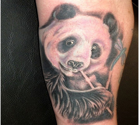 Brilliant Panda Eating Bamboo With Dragon Fly Tattoo