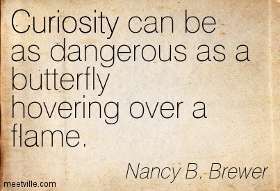 Curiosity Can Be As Dangerous As A Butterfly Hovering Over A Flame