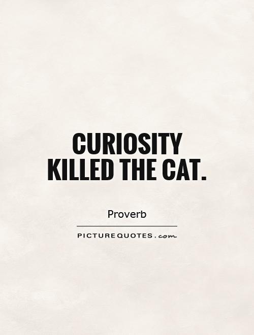 Curiosity killed the cat