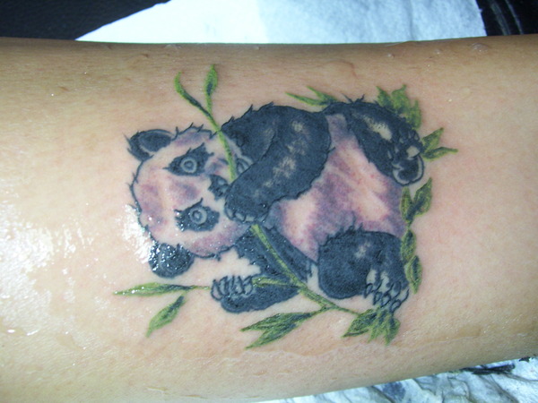 Cute Baby Panda With Bamboos Tattoo On Forearm