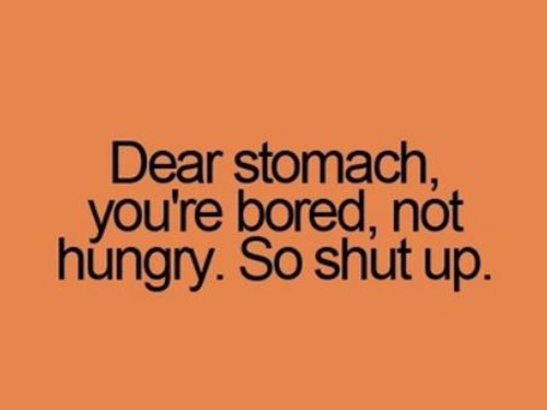 Dear stomach, you're bored. not hungry. So shut up