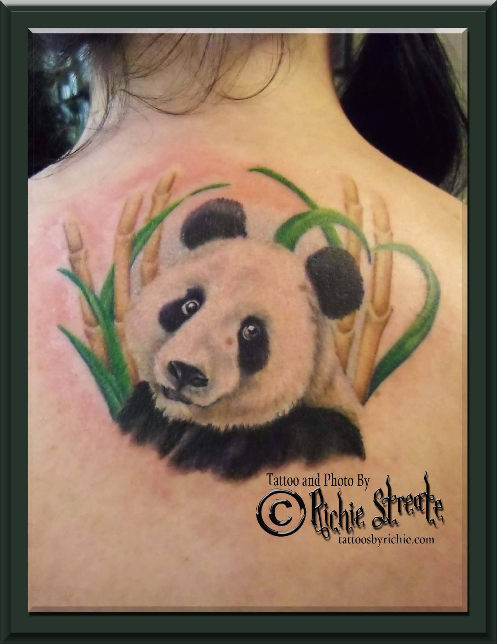 Incredible 3D Panda Head With Bamboos Tattoo On Upper Back For Women