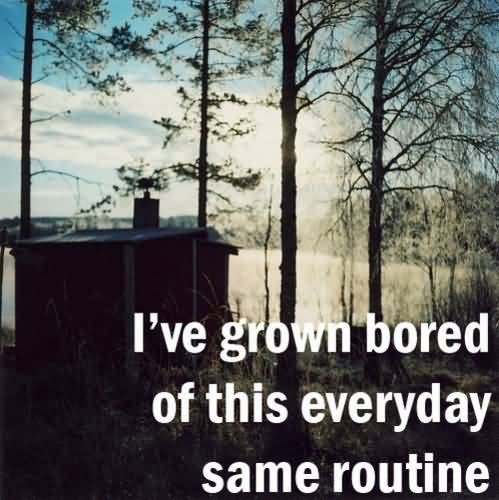 I've Grown Bored Of This Everyday Same Routine