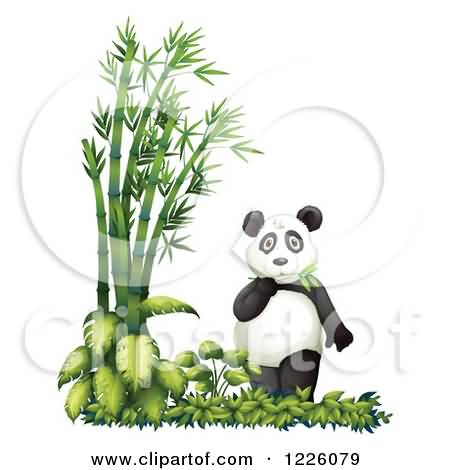 Nice Panda With Bamboo And Plants Tattoo By Colematt