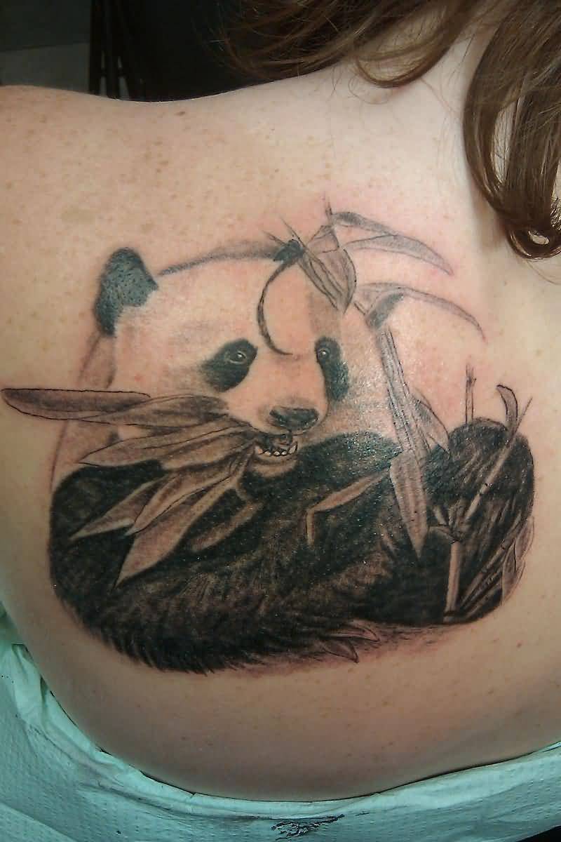 Panda Eating Grey Bamboo Tattoo On Left Upper Back