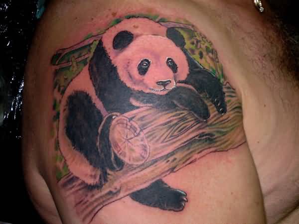 Pretty Colorful Panda With Cut Woods Tattoo On Right Shoulder