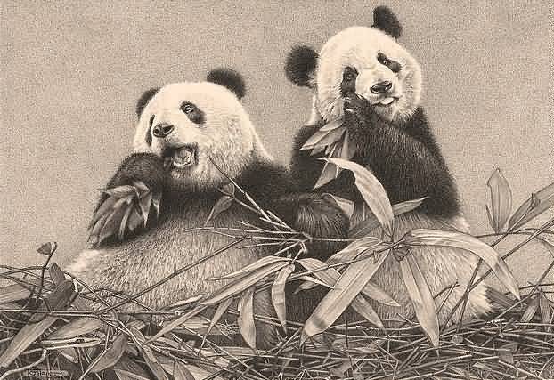 Realistic Pandas Eating Bamboos Tattoo Photo