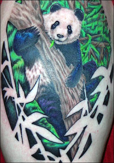Really Nice Colorful Panda With Bamboos And Tree Branch Tattoo
