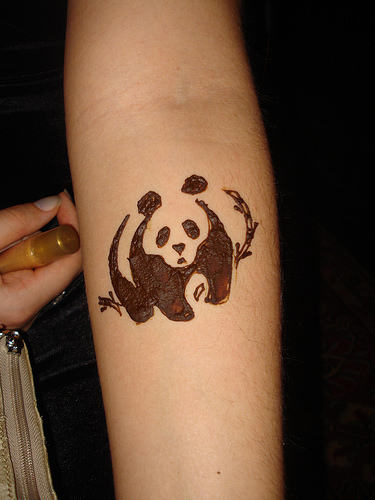 Shocking Brown Color Tribal Panda Tattoo On Forearm