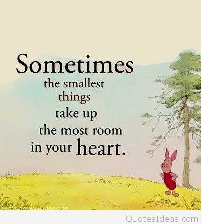 Sometimes the smallest things take up the most room in your heart. - A.A. Milne