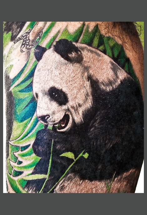 Terrific Panda With Leaves Tattoo