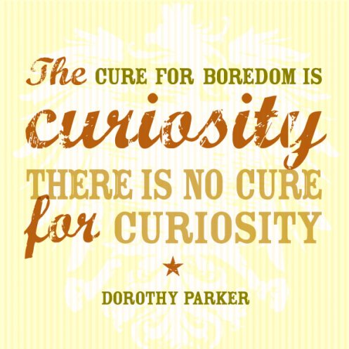 The Cure for Boredom Is Curiosity. There Is No Cure for Curiosity - Dorothy Parker