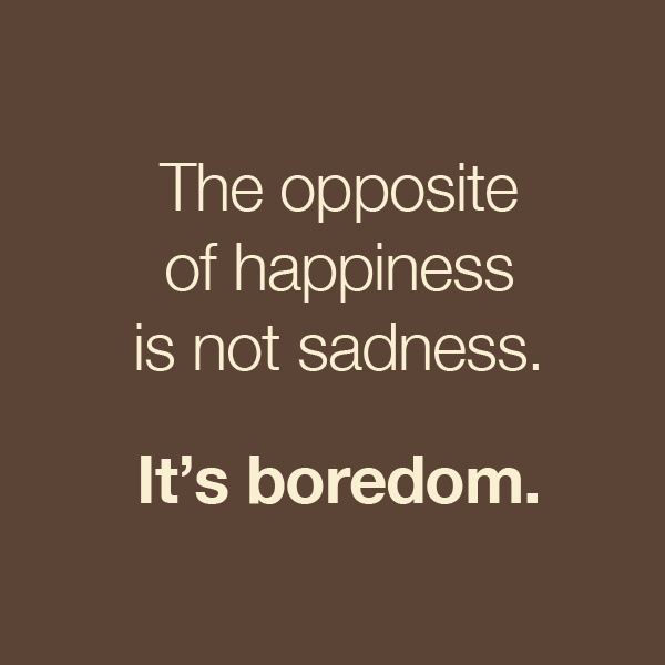 The opposite of happiness is not sadness  it's boredom