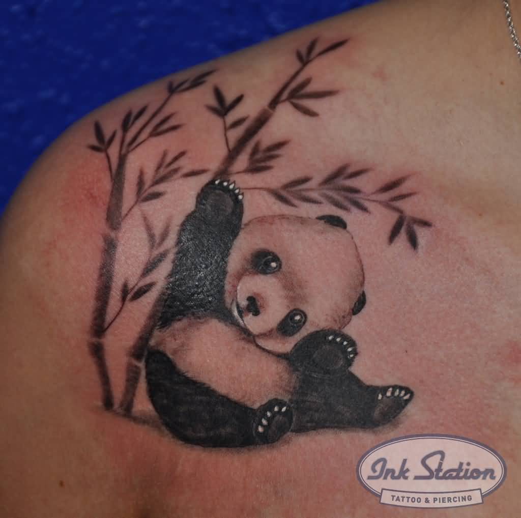 Very Cute Baby Panda With Bamboo Trees Tattoo On Right Shoulder