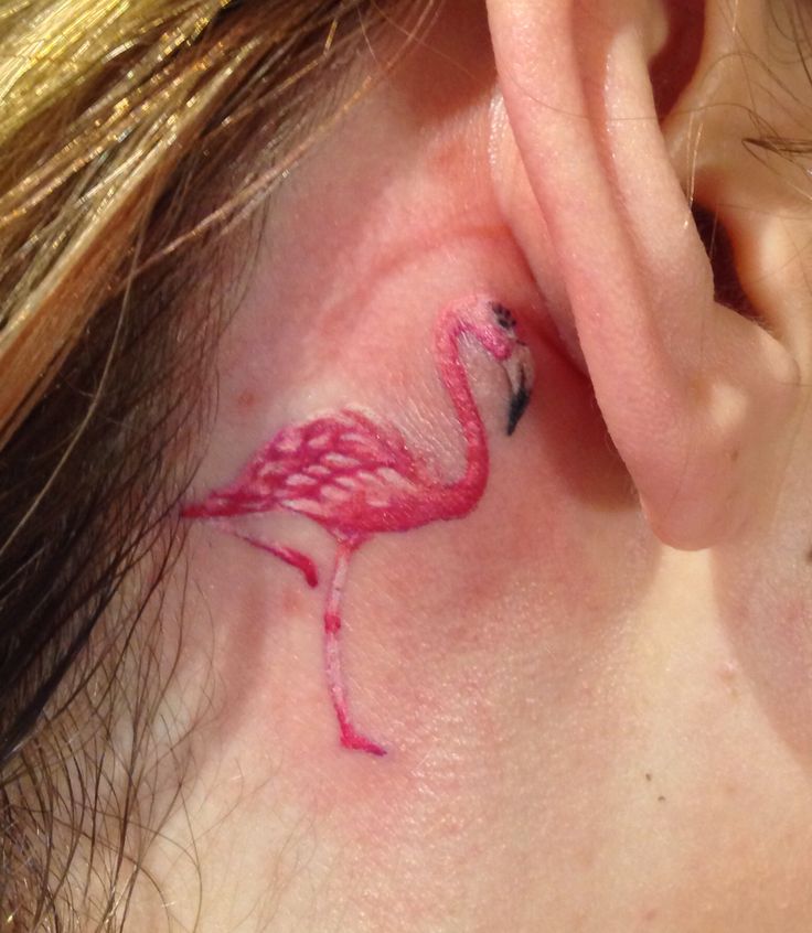 Amazing Tiny Flamingo Tattoo Behind Ear