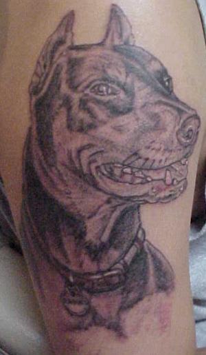 Angry Doberman Pinscher Dog Head Tattoo On Half Sleeve