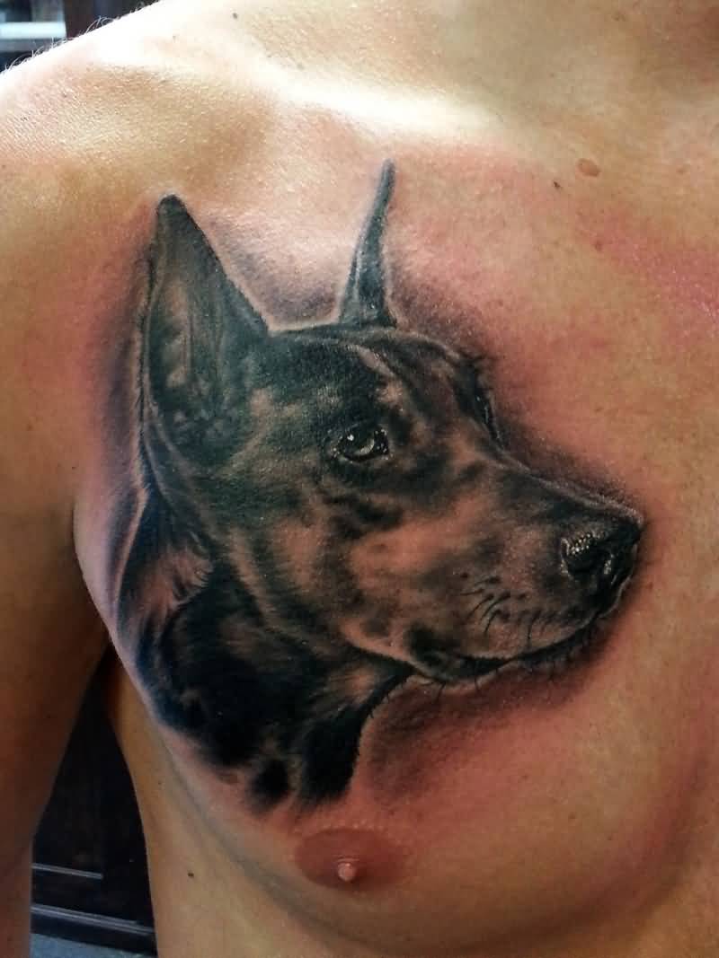 Awesome Black Ink Doberman Tattoo On Chest