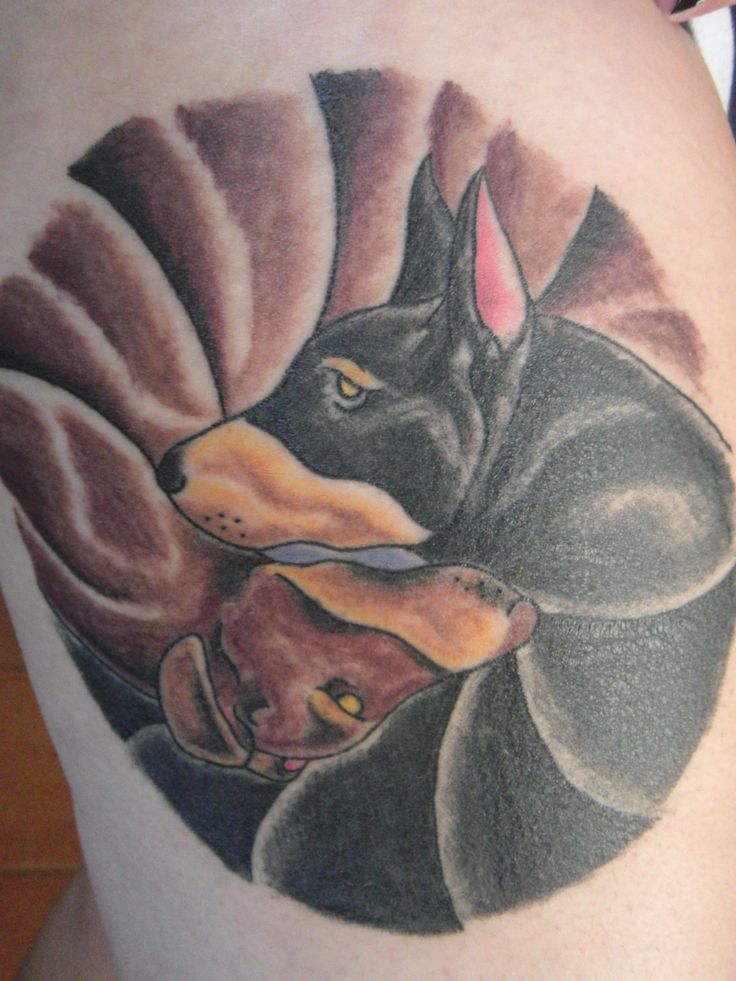 Black Doberman In Snail Tattoo
