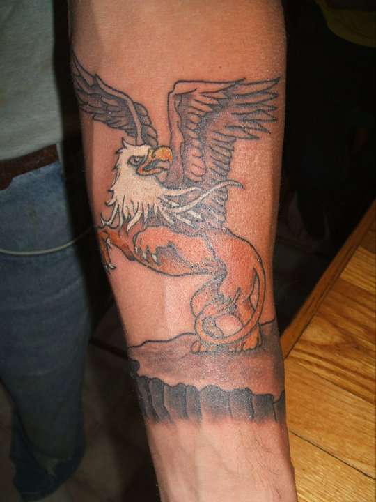 Brilliant Angry Griffin Tattoo On Forearm