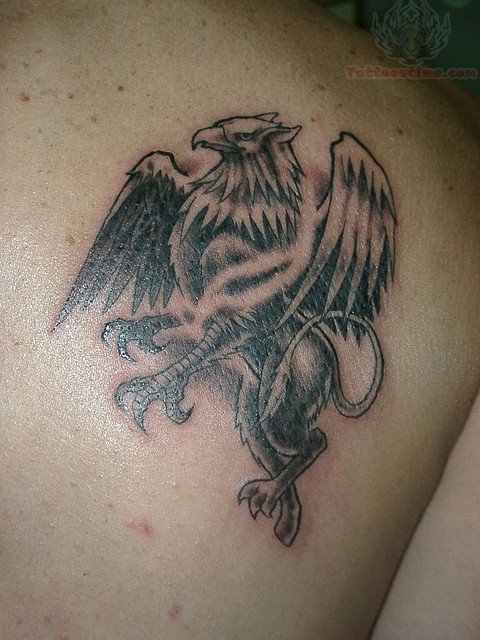 Brilliant Griffin Tattoo