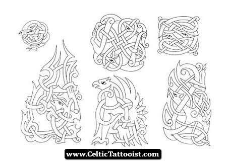 Celtic Griffin Tattoos Design