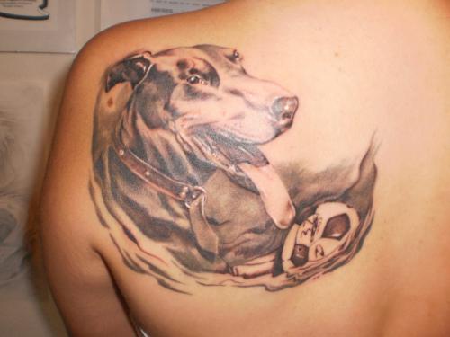 Cool Doberman Tattoo On Left Shoulder