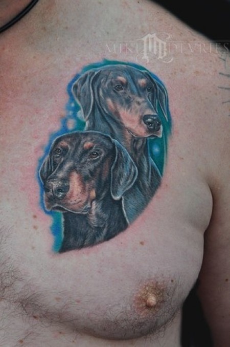 Cool Dobermans Tattoo With Blue Background Tattoo On Right Side Of Chest