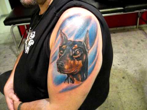 Extremely Cool Doberman Head Tattoo With Blue Background