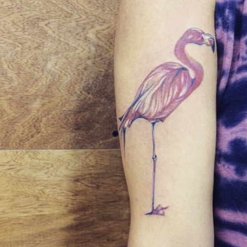 Extremely Nice Flamingo Tattoo On Half Sleeve