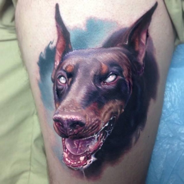 Furious Doberman Head Tattoo With Blue Background Tattoo On Leg