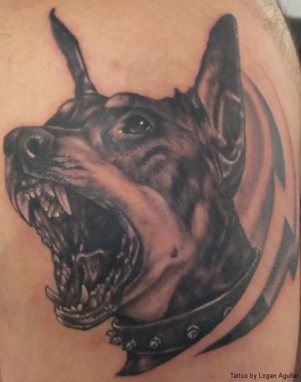 Great Angry Doberman Tattoo On Shoulder